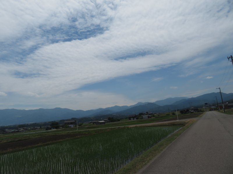 f:id:mannenNA:20210613191433j:plain