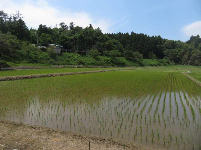 f:id:mannenNA:20210619185259j:plain