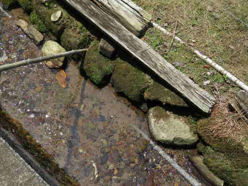 f:id:mannenNA:20210619185323j:plain