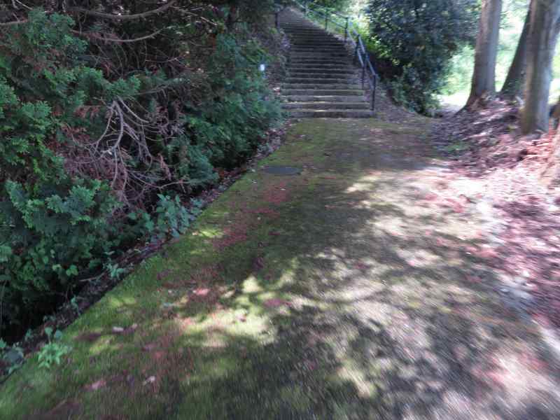 f:id:mannenNA:20210619185352j:plain