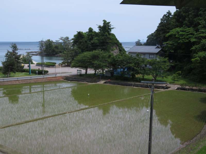 f:id:mannenNA:20210619185502j:plain