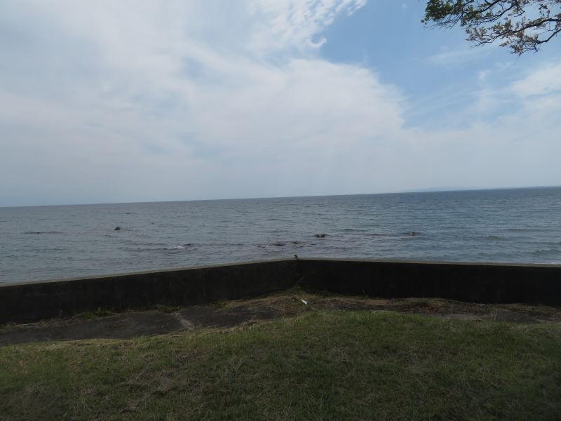 f:id:mannenNA:20210621201118j:plain