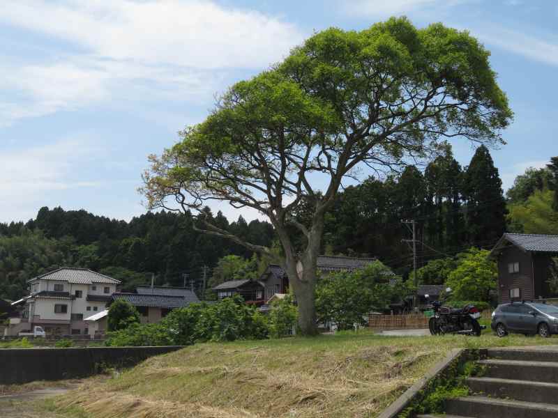 f:id:mannenNA:20210621201311j:plain