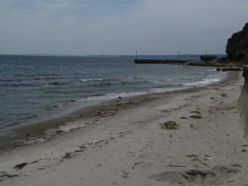 f:id:mannenNA:20210621201339j:plain