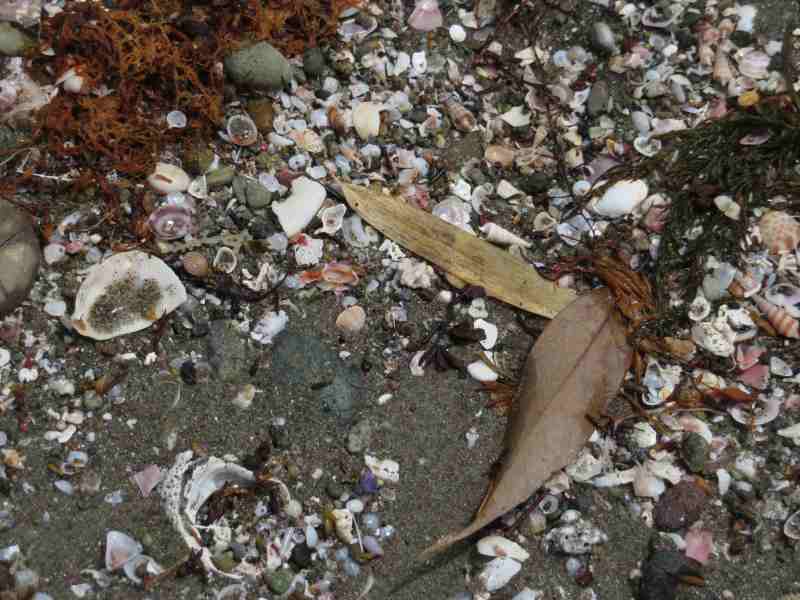 f:id:mannenNA:20210621201419j:plain