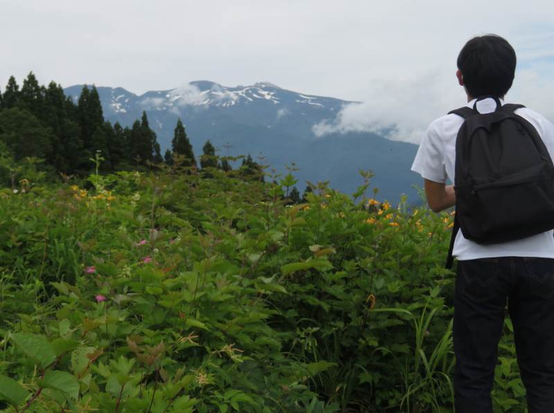 f:id:mannenNA:20210629210214j:plain