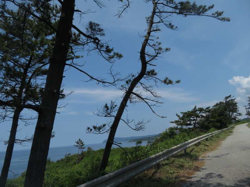 f:id:mannenNA:20210701174811j:plain