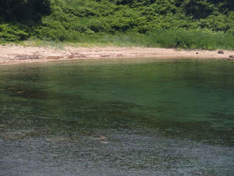 f:id:mannenNA:20210702182751j:plain