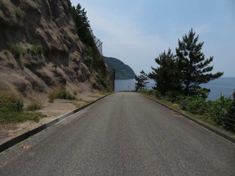 f:id:mannenNA:20210702183057j:plain