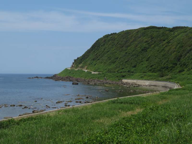 f:id:mannenNA:20210702183327j:plain