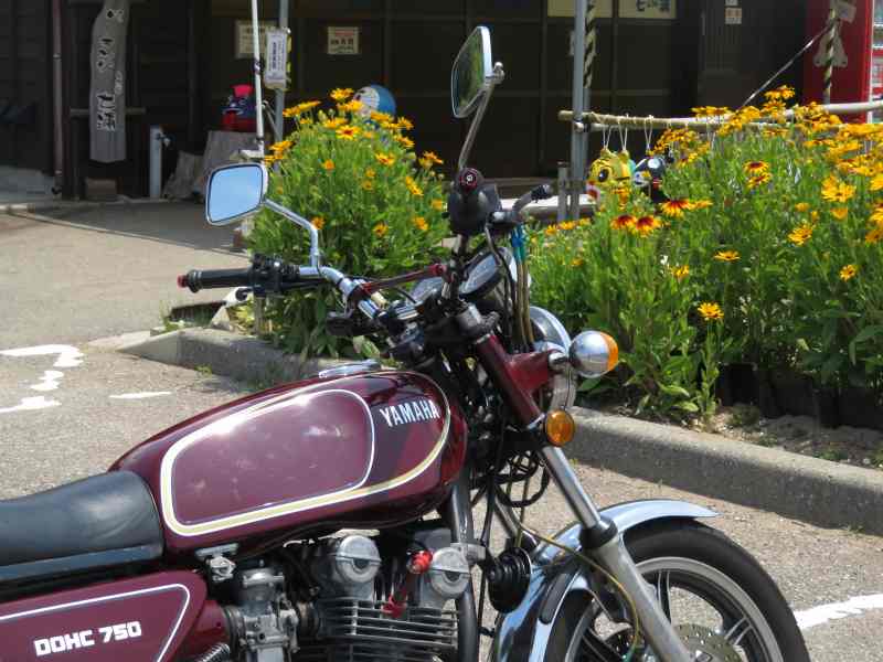 f:id:mannenNA:20210703220257j:plain