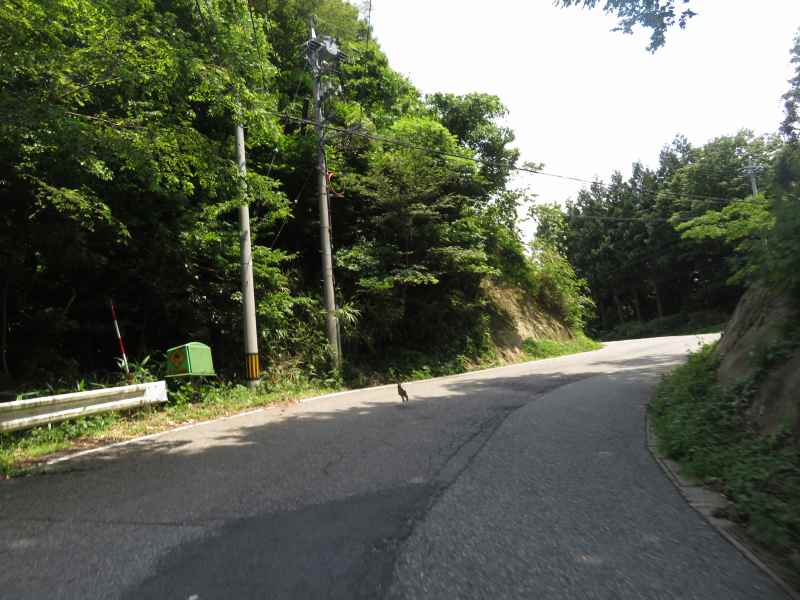 f:id:mannenNA:20210703220629j:plain