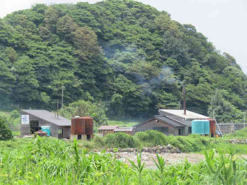 f:id:mannenNA:20210711211744j:plain