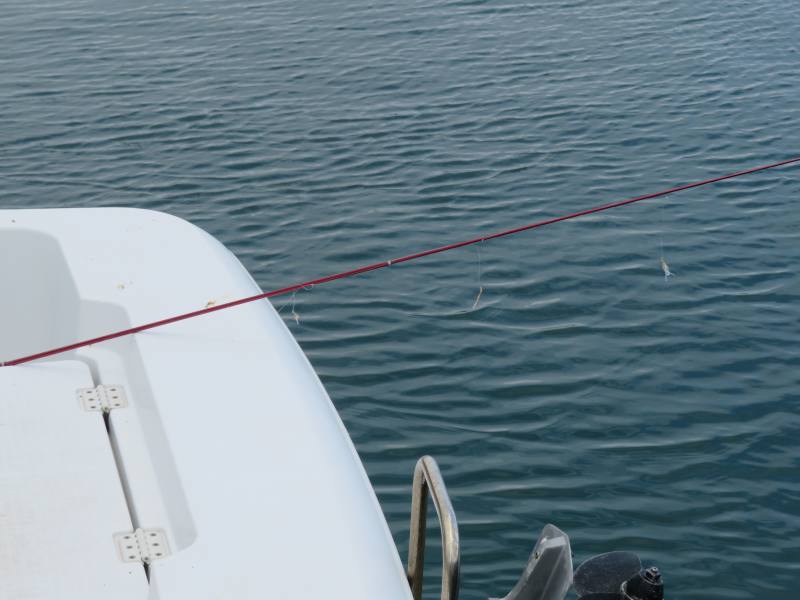 f:id:mannenNA:20210712202140j:plain