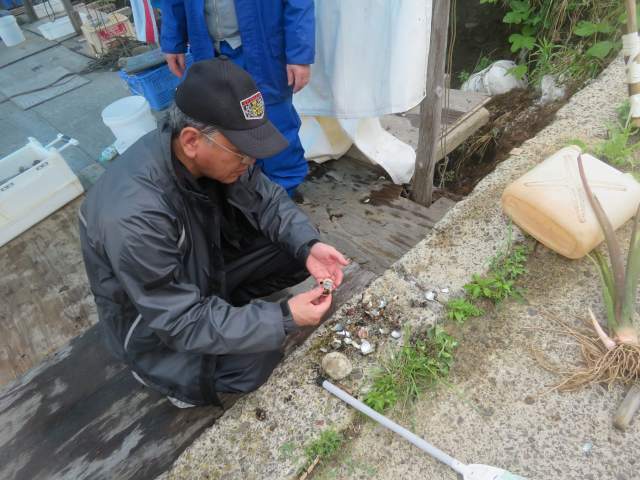 f:id:mannenNA:20210712204808j:plain