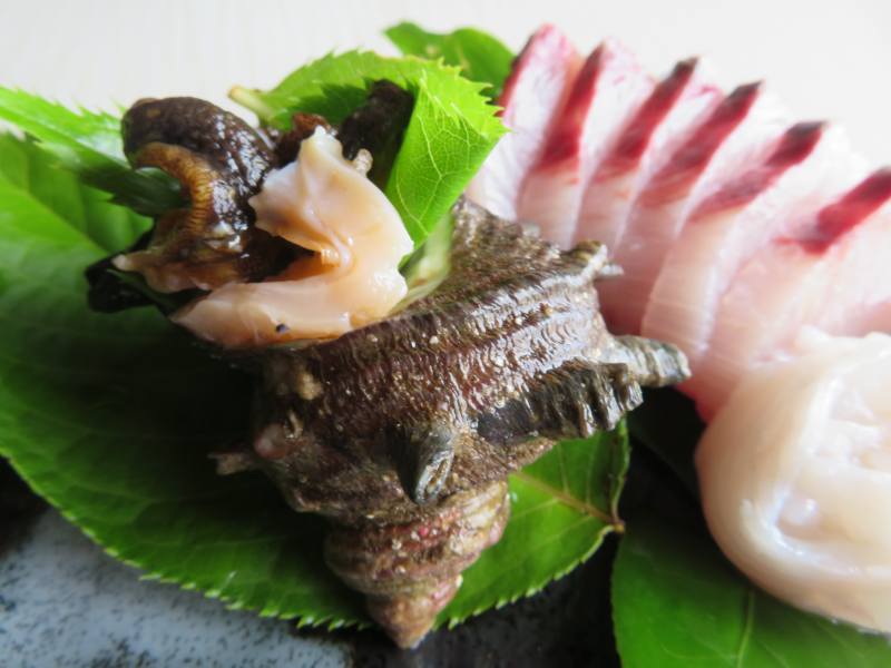 f:id:mannenNA:20210713183454j:plain