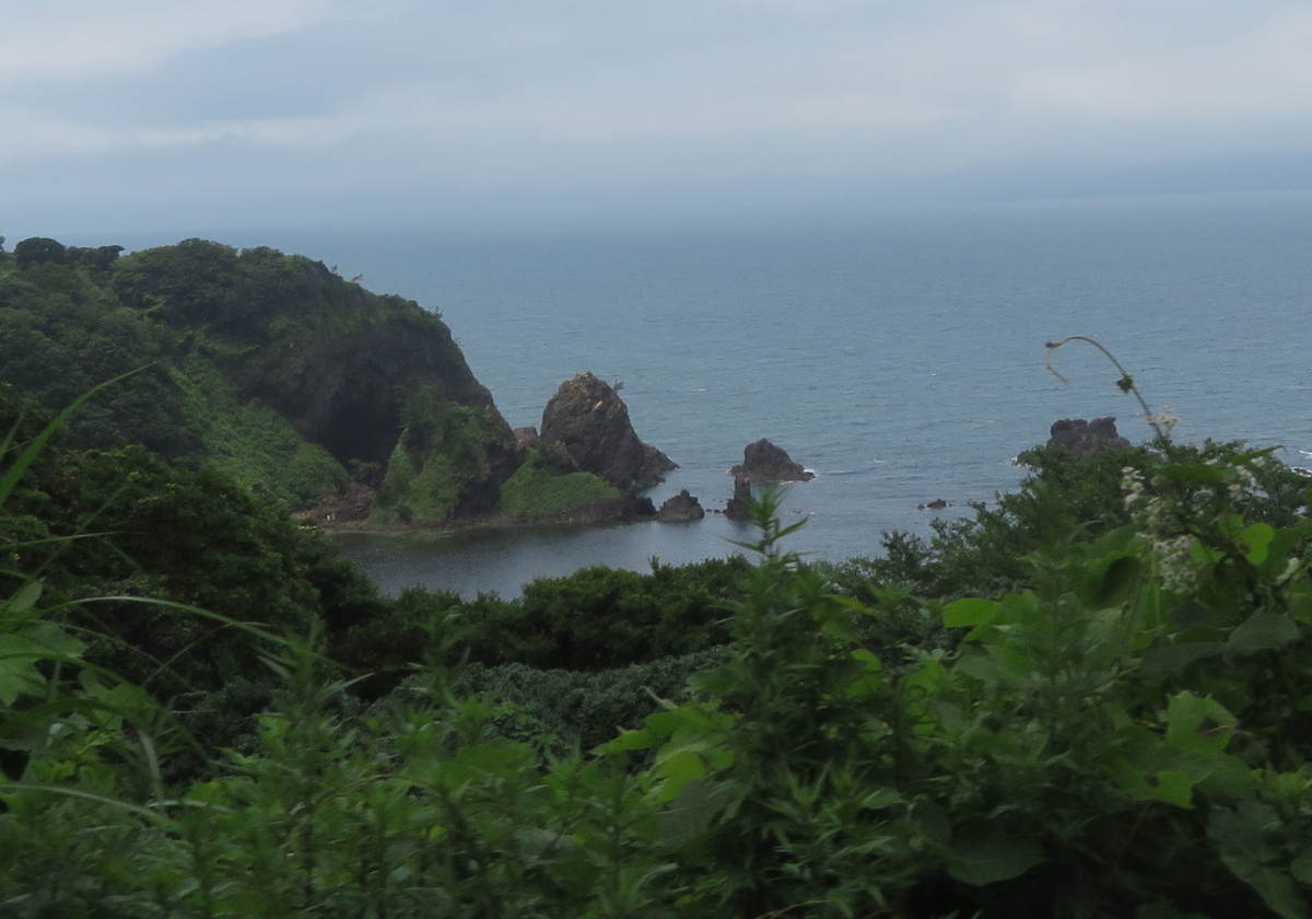 f:id:mannenNA:20210714182004j:plain