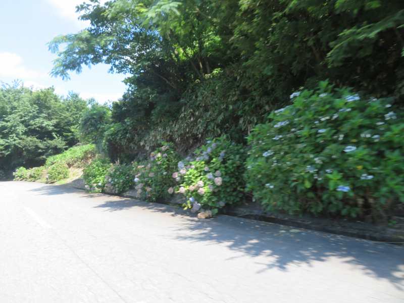 f:id:mannenNA:20210718190210j:plain