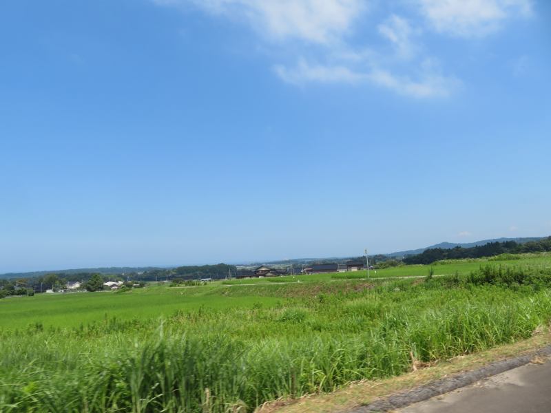 f:id:mannenNA:20210718190441j:plain