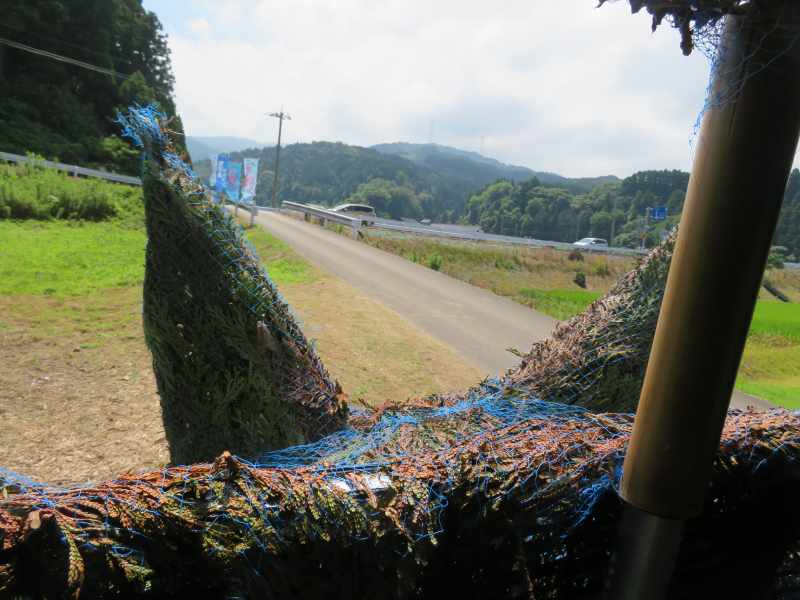 f:id:mannenNA:20210719150204j:plain