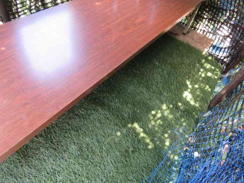 f:id:mannenNA:20210719150351j:plain