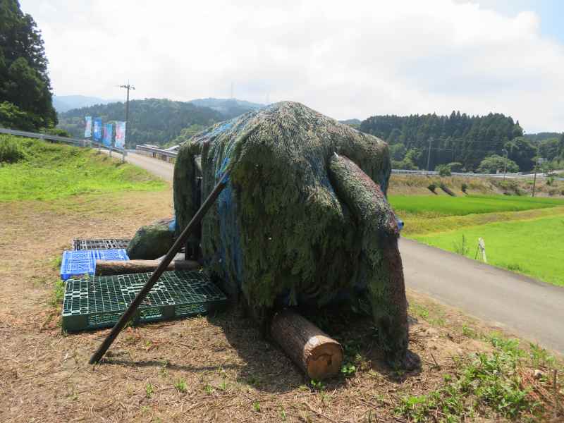 f:id:mannenNA:20210719150427j:plain