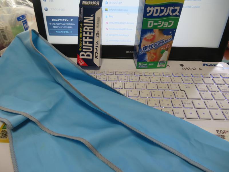 f:id:mannenNA:20210722174040j:plain