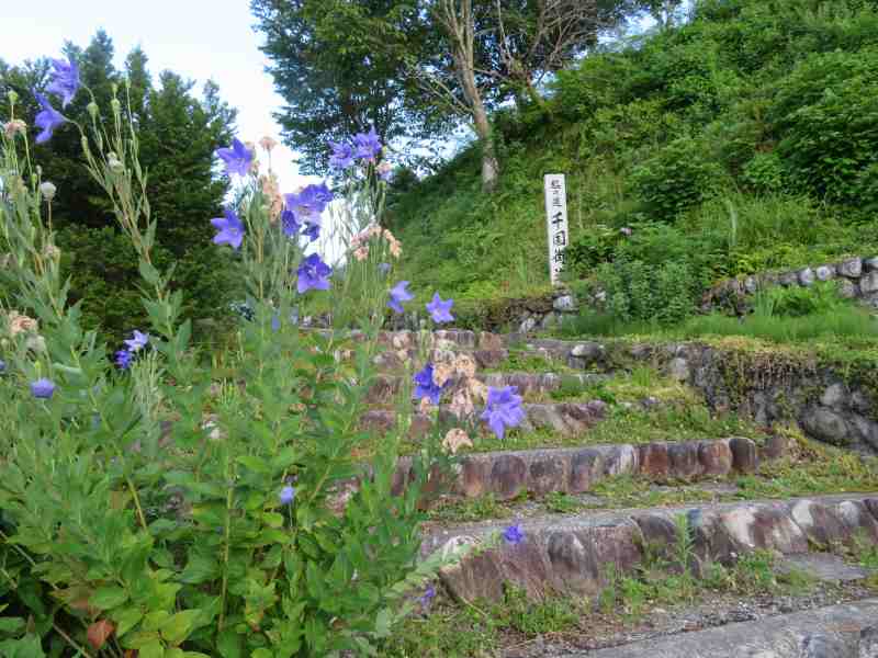 f:id:mannenNA:20210731231445j:plain