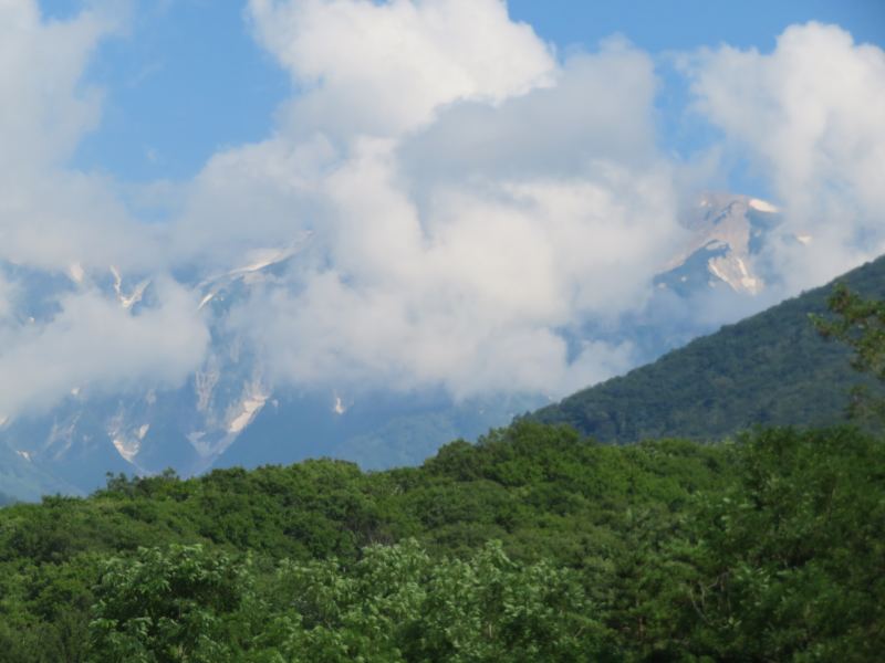 f:id:mannenNA:20210801184450j:plain