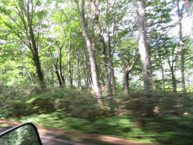 f:id:mannenNA:20210801184927j:plain