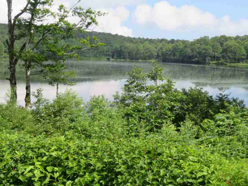 f:id:mannenNA:20210801185028j:plain