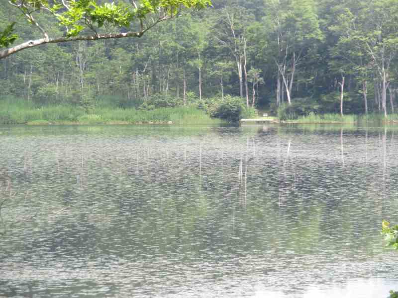 f:id:mannenNA:20210801185045j:plain