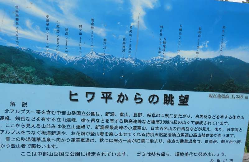 f:id:mannenNA:20210802202659j:plain