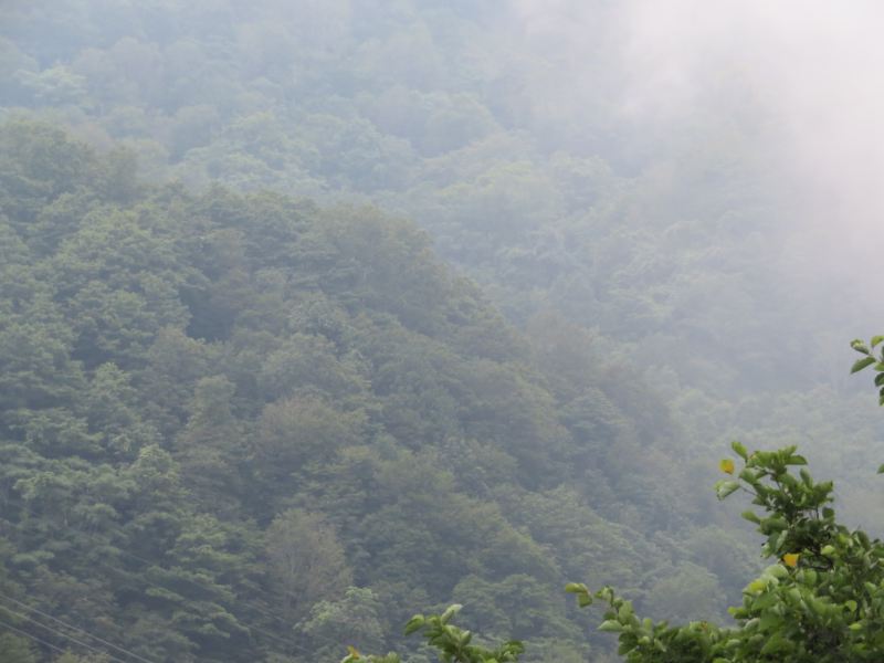 f:id:mannenNA:20210803184408j:plain