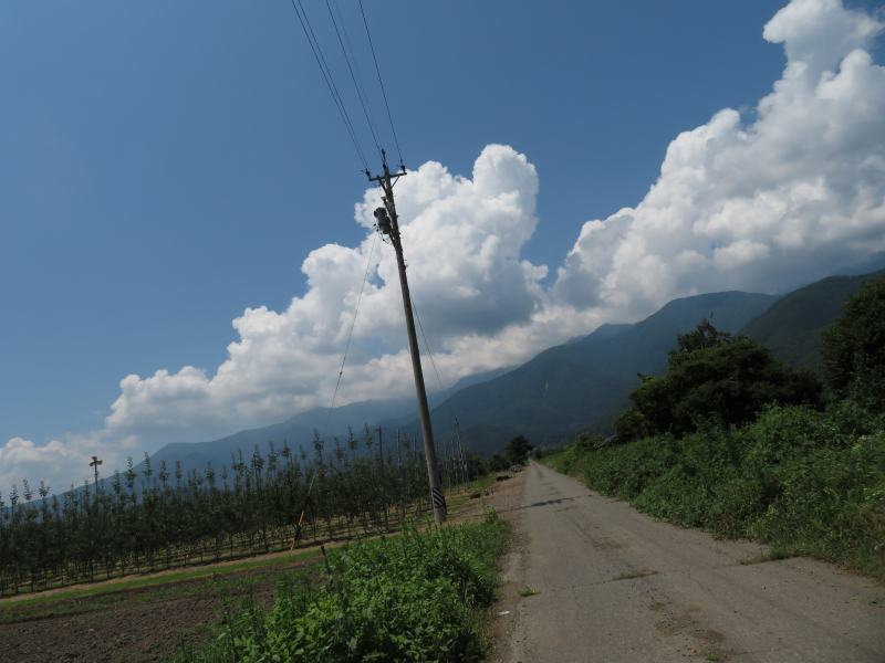 f:id:mannenNA:20210807113427j:plain