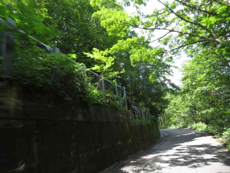 f:id:mannenNA:20210807113647j:plain