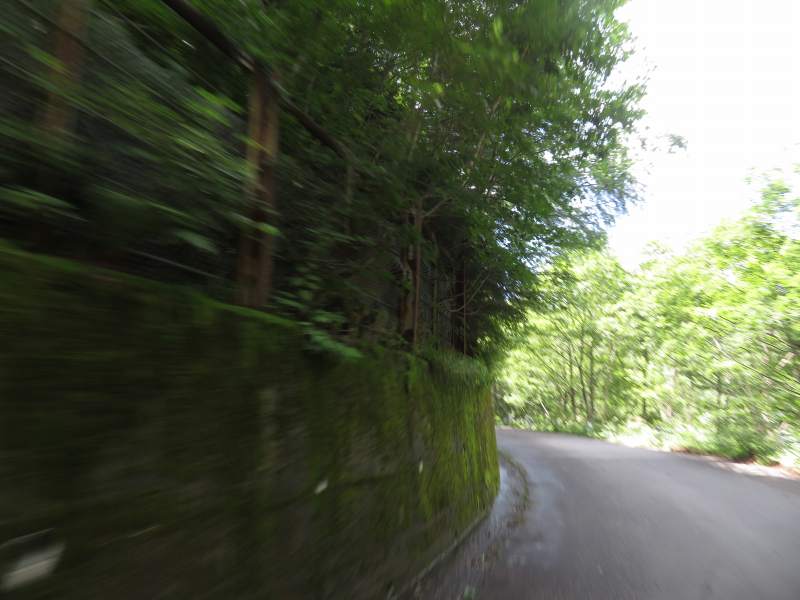 f:id:mannenNA:20210807113704j:plain