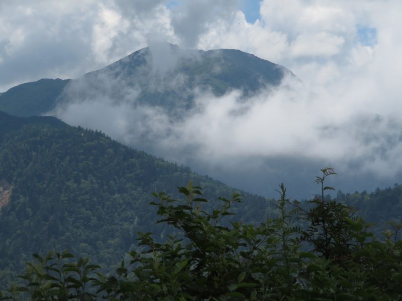 f:id:mannenNA:20210807113850j:plain