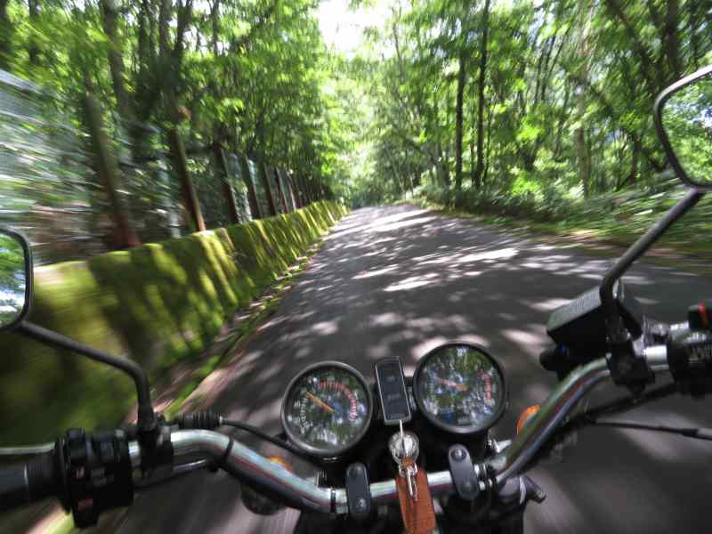 f:id:mannenNA:20210807113906j:plain