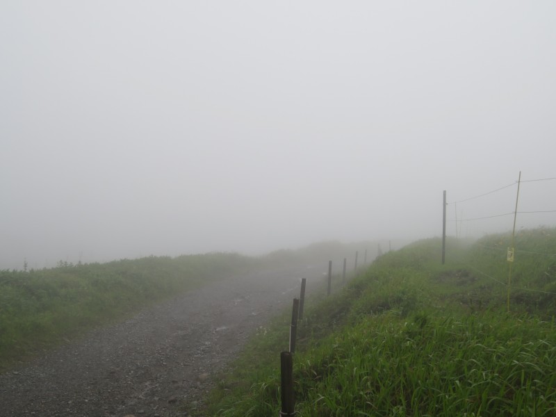 f:id:mannenNA:20210809193340j:plain