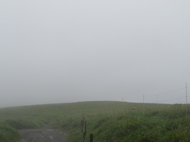 f:id:mannenNA:20210809193436j:plain