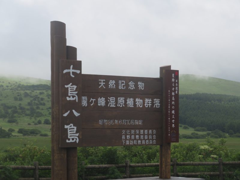 f:id:mannenNA:20210809194050j:plain