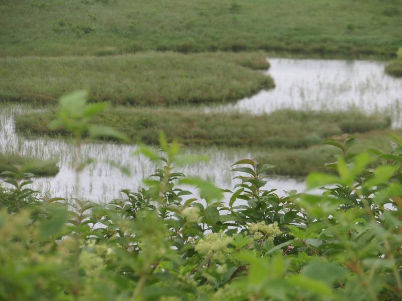 f:id:mannenNA:20210809194122j:plain