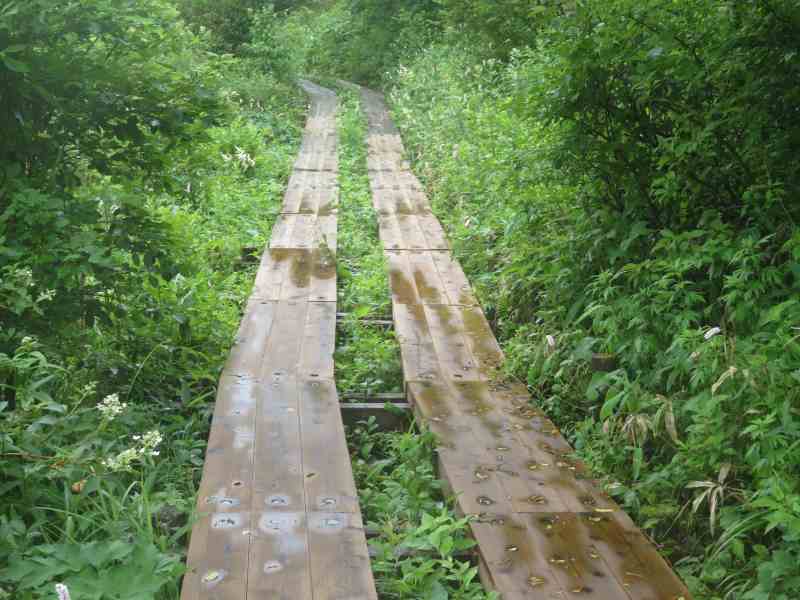 f:id:mannenNA:20210809194203j:plain