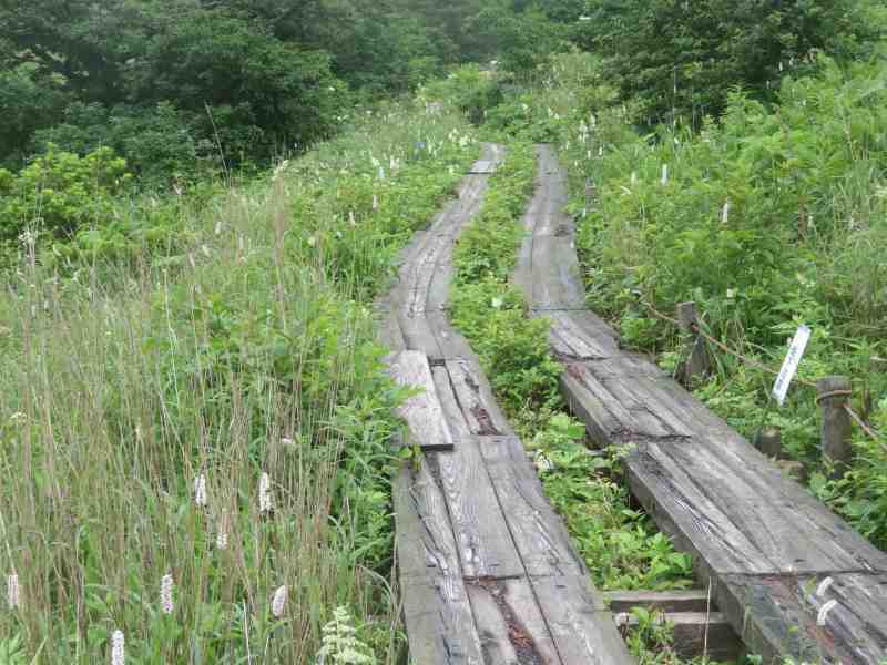 f:id:mannenNA:20210809194301j:plain