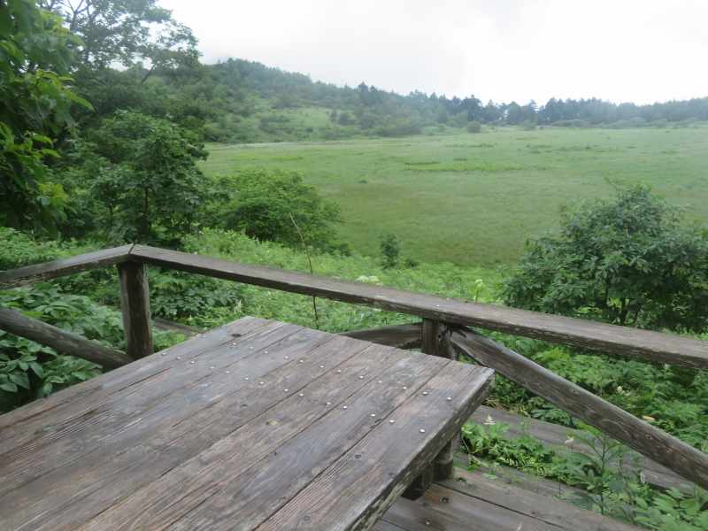 f:id:mannenNA:20210809194443j:plain