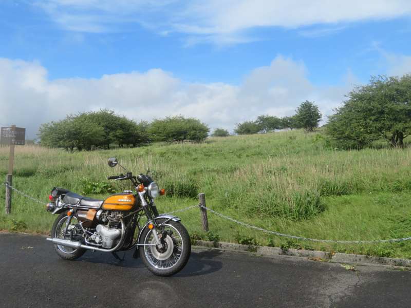 f:id:mannenNA:20210809194614j:plain