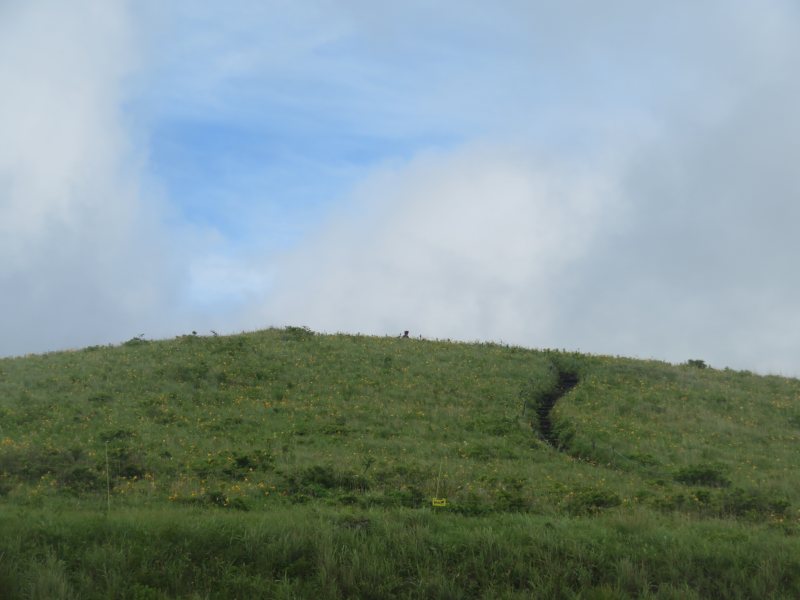 f:id:mannenNA:20210809194713j:plain