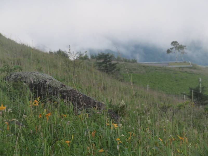 f:id:mannenNA:20210809194851j:plain