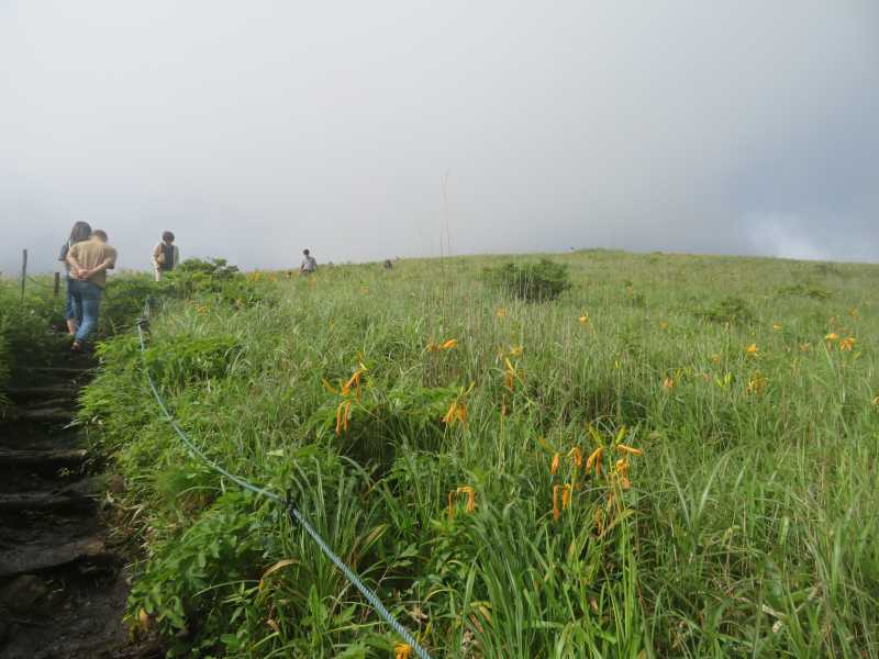 f:id:mannenNA:20210809194928j:plain